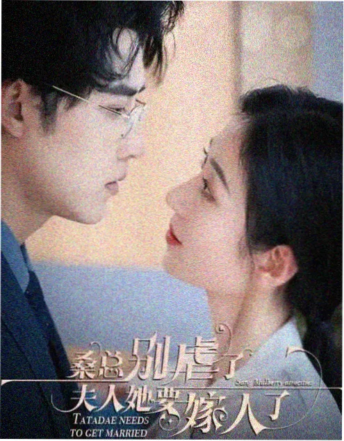 回声档案 高清剧集海报